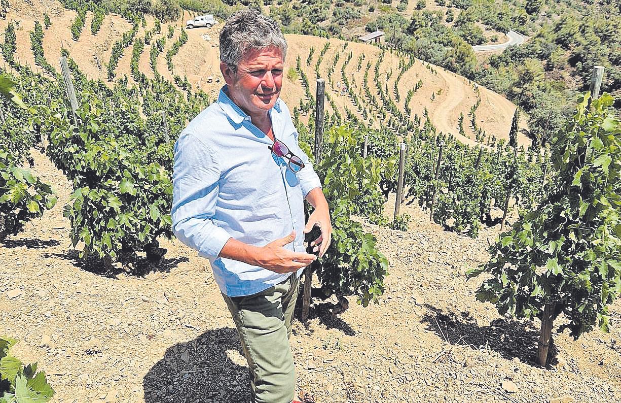 Bierzo, Rioja y Priorat. Álvaro Palacios se ha consolidado como uno de los grandes señores del vino en España, uno de los pocos negocios en que este país es líder mundial