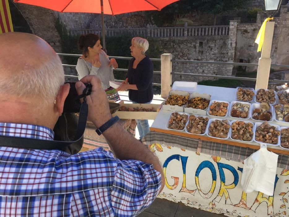 29a edició de la Fira del Bolet i el Boletaire de