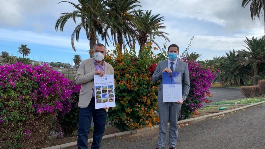 Medio Ambiente pone en valor el patrimonio vegetal de Telde con un almanaque con fotografías de los árboles más singulares