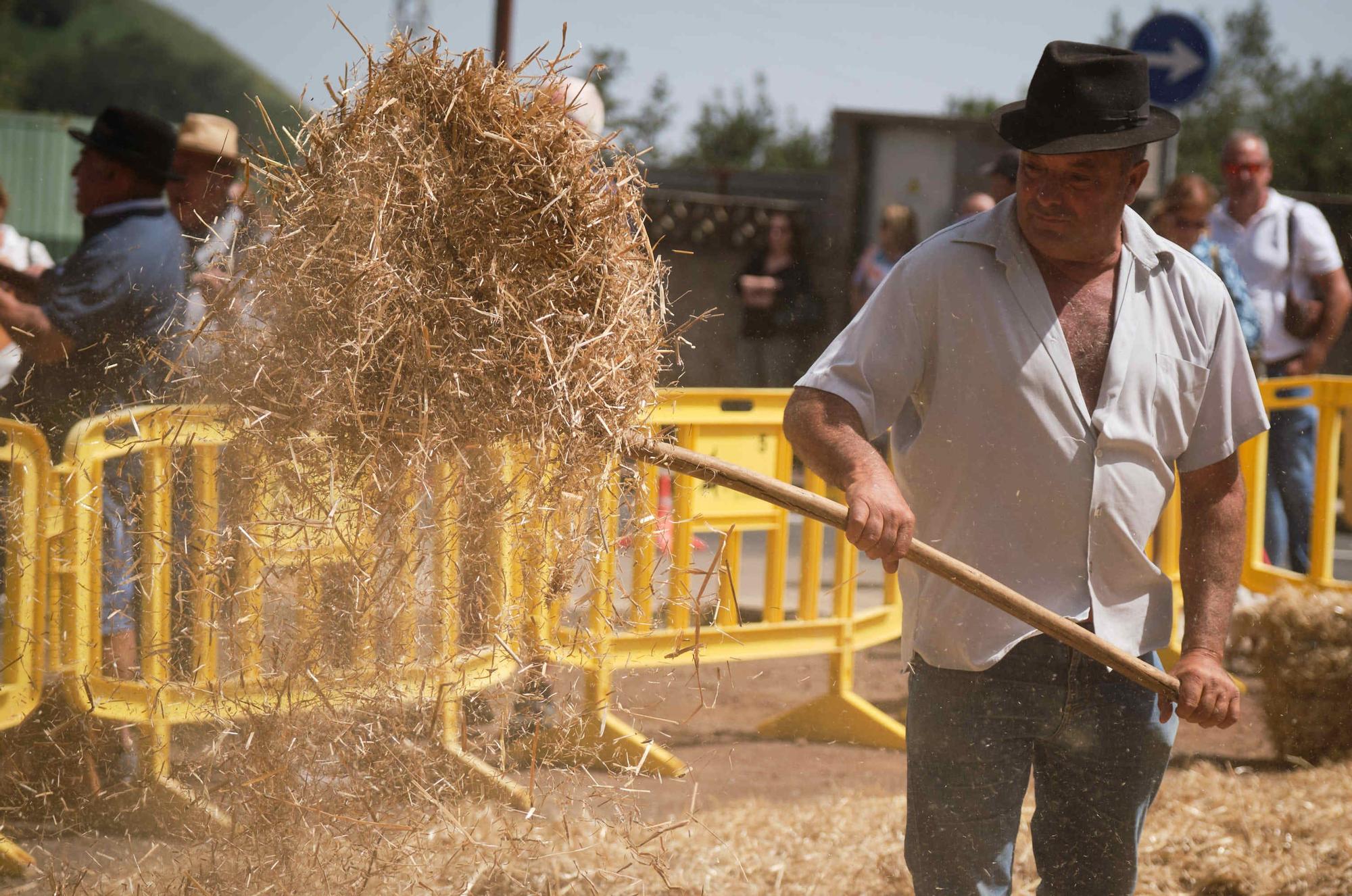 Feria de ganado en el Rosario