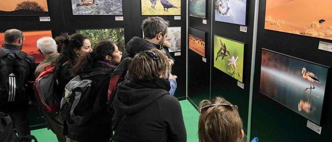 Exposición con imágenes tomadas en el concurso de fotografía anual que se celebra bajo el paraguas de FIO. // Birding in Extremadura