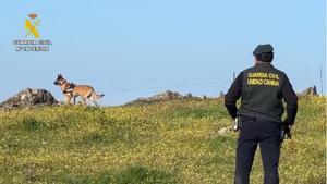 Guardias civiles de seguridad ciudadana y otras especialidades integran el dispositivo de búsqueda de un hombre de 79 años desaparecido en la localidad de Hinojal