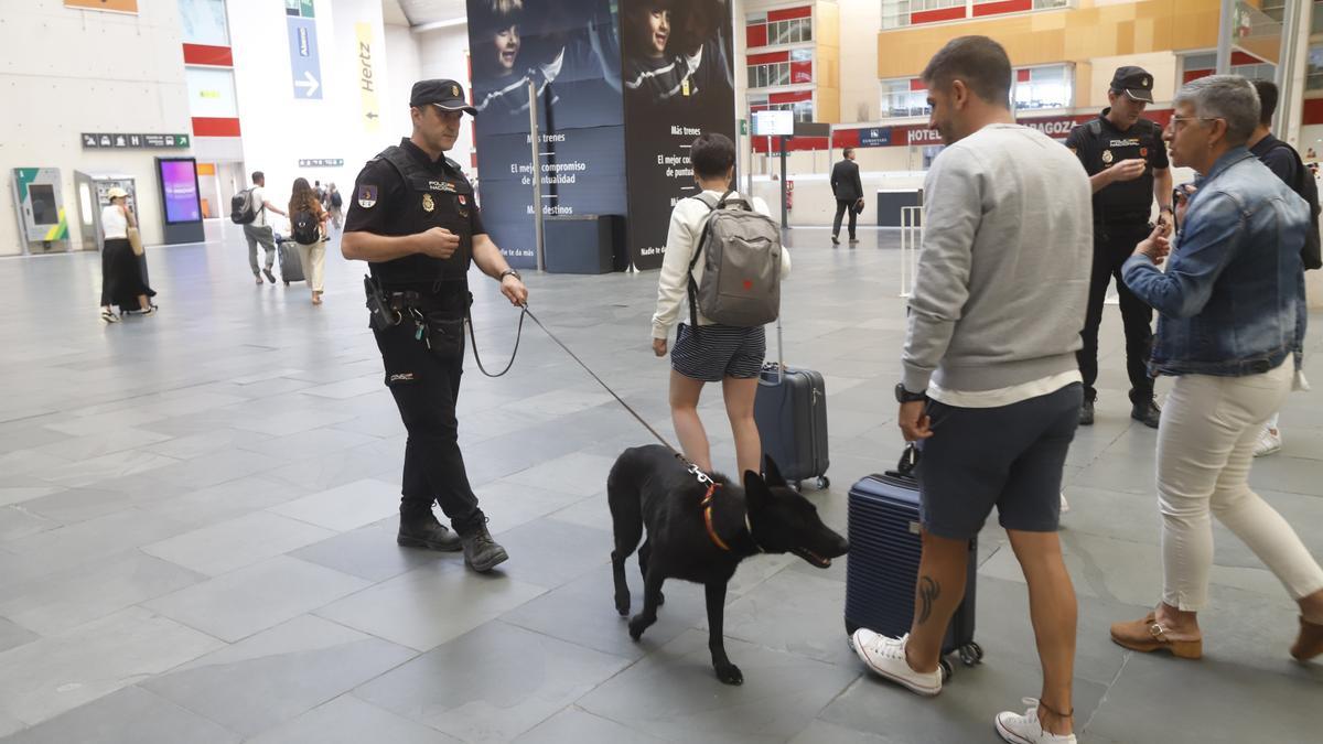 La perra pasea por la zona de llegadas de la estación Delicias de Zaragoza y se cuela entre los viajeros que acaban de bajar del tren.