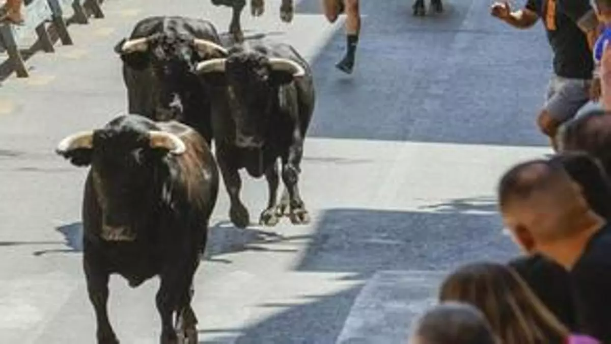 El tercer encierro de la Feria Taurina de Blanca congrega a casi 12.000 personas