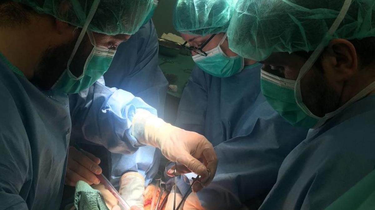 Un equipo médico del Hospital Arnau de Vilanova extrae un órgano a un donante.