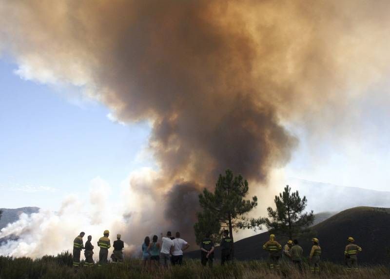 Incendio de Acebo y Perales del Puerto