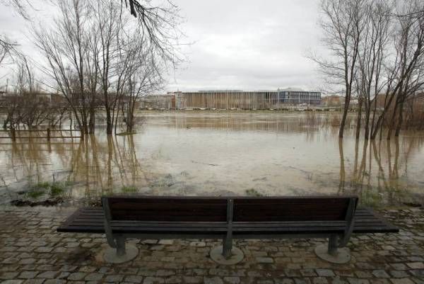 Fotogalería: Crecida en el río Ebro