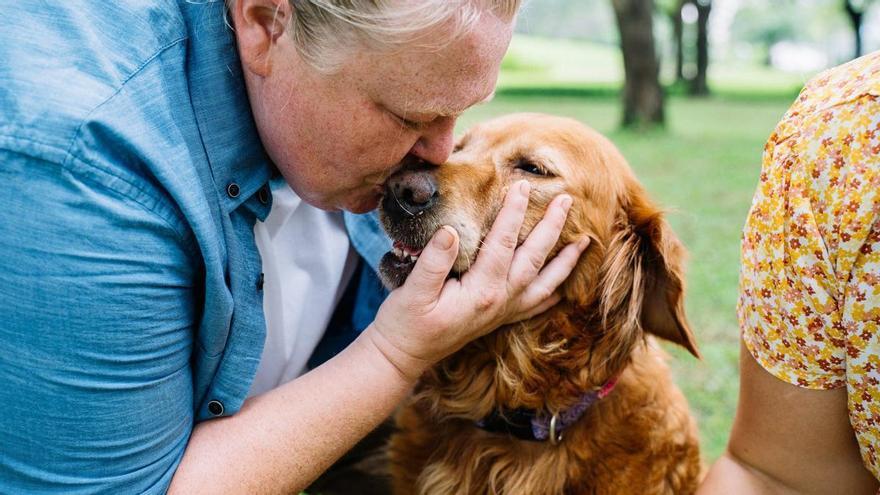 ¿Por qué los perros nos dan lametones? Descubre el motivo de estos besos tan húmedos