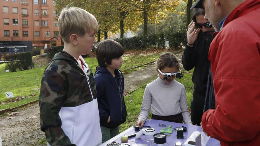 Acercamiento en el "Bosque comestible" a las "maravillas microscópicas" | MARA VILLAMUZA