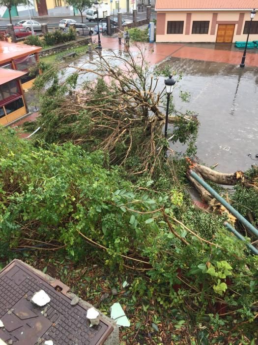 Temporal en Gran Canaria (12/2/2017)