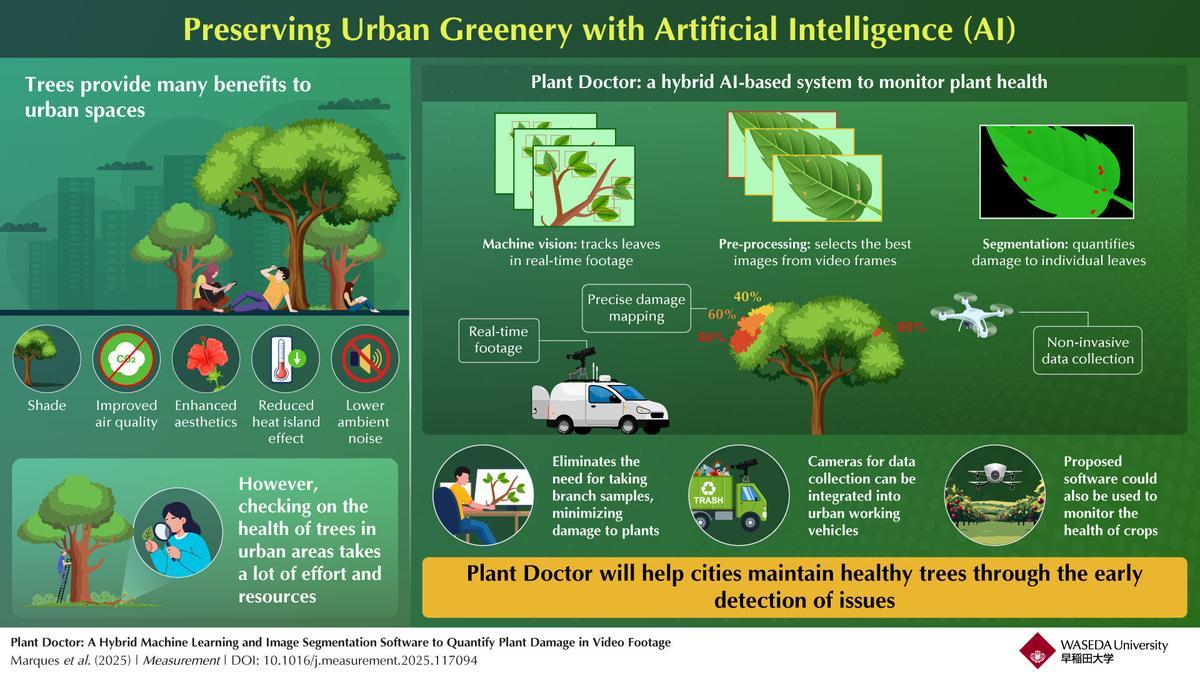 El sistema combina visión artificial e IA para evaluar automáticamente la salud de cada hoja, lo que constituye una valiosa herramienta para la monitorización de la vegetación urbana.