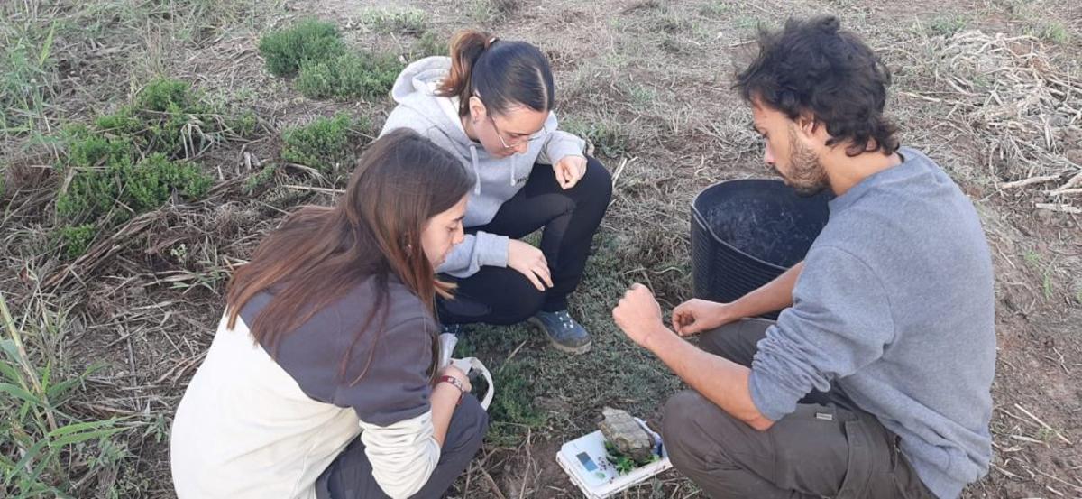 De cara a 2026, el Projecte Emys continuará desarrollando nuevas campañas en El Hondo con el objetivo de seguir ampliando datos y consolidar el seguimiento de las tortugas autóctonas valencianas