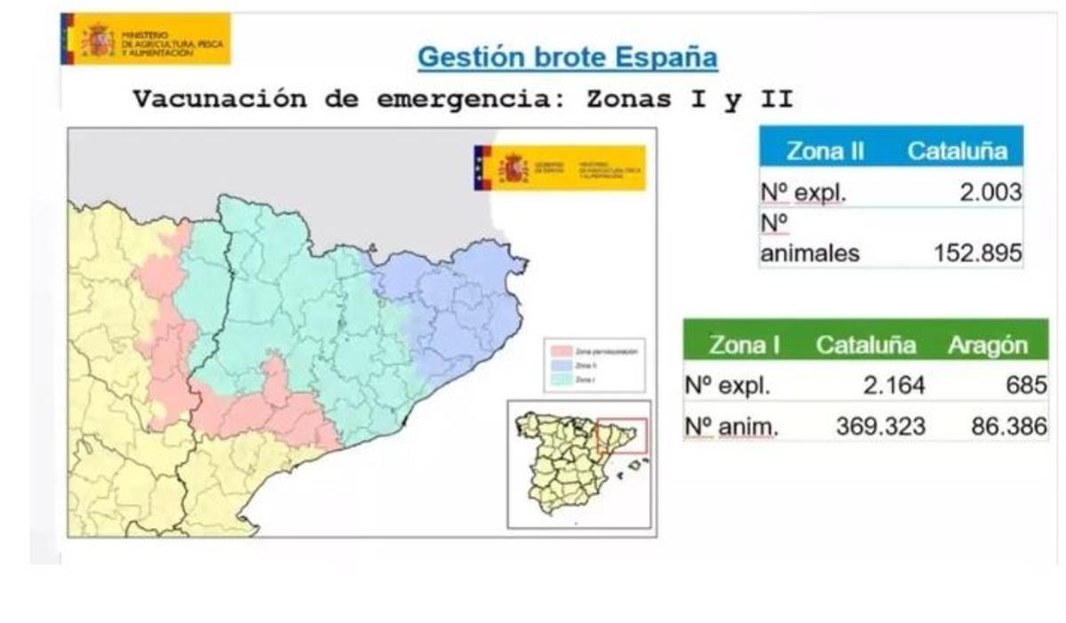 Gestión del brote de la dermatosis en Cataluña y Aragón.