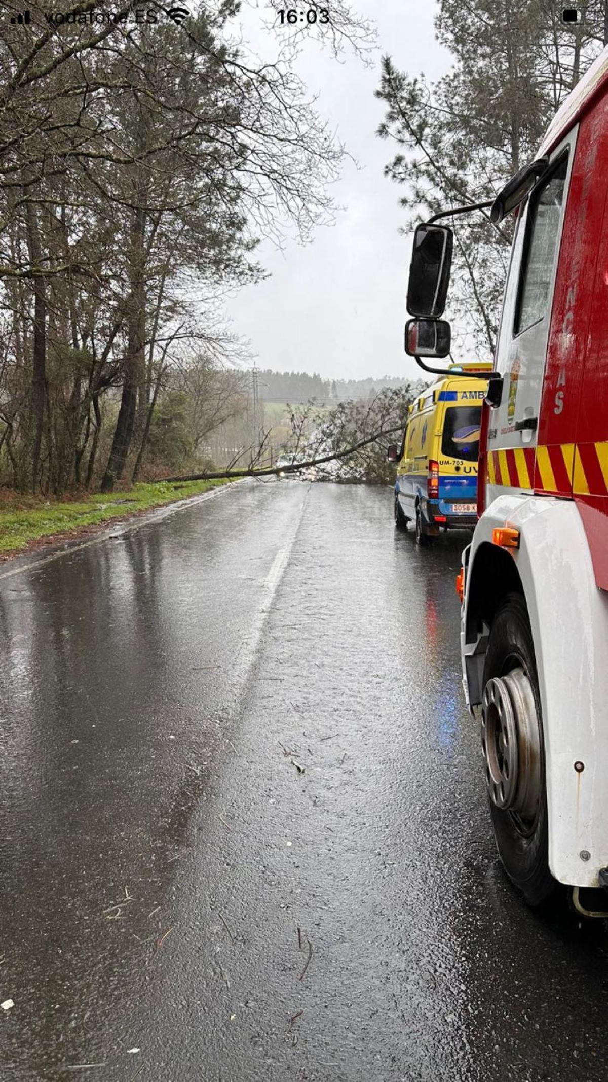 Carretera que une A Estrada y Santiago cortada por la caída de un árbol.