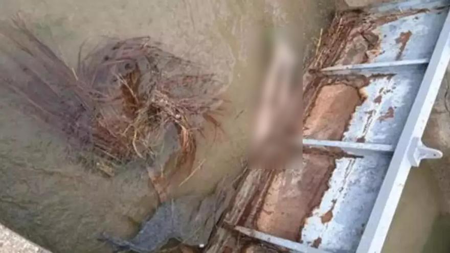 Aparece un cadáver en una acequia en Burriana