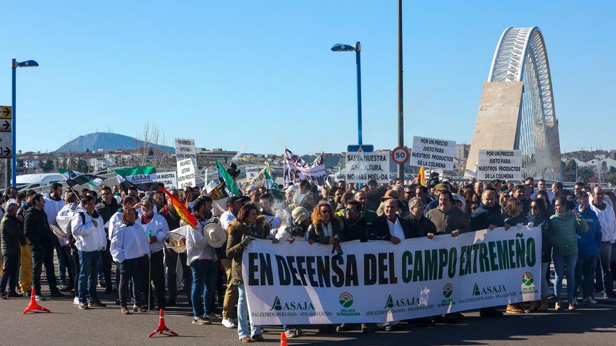 Los apicultores extremeños claman ayudas: &quot;El sector está hundido&quot;