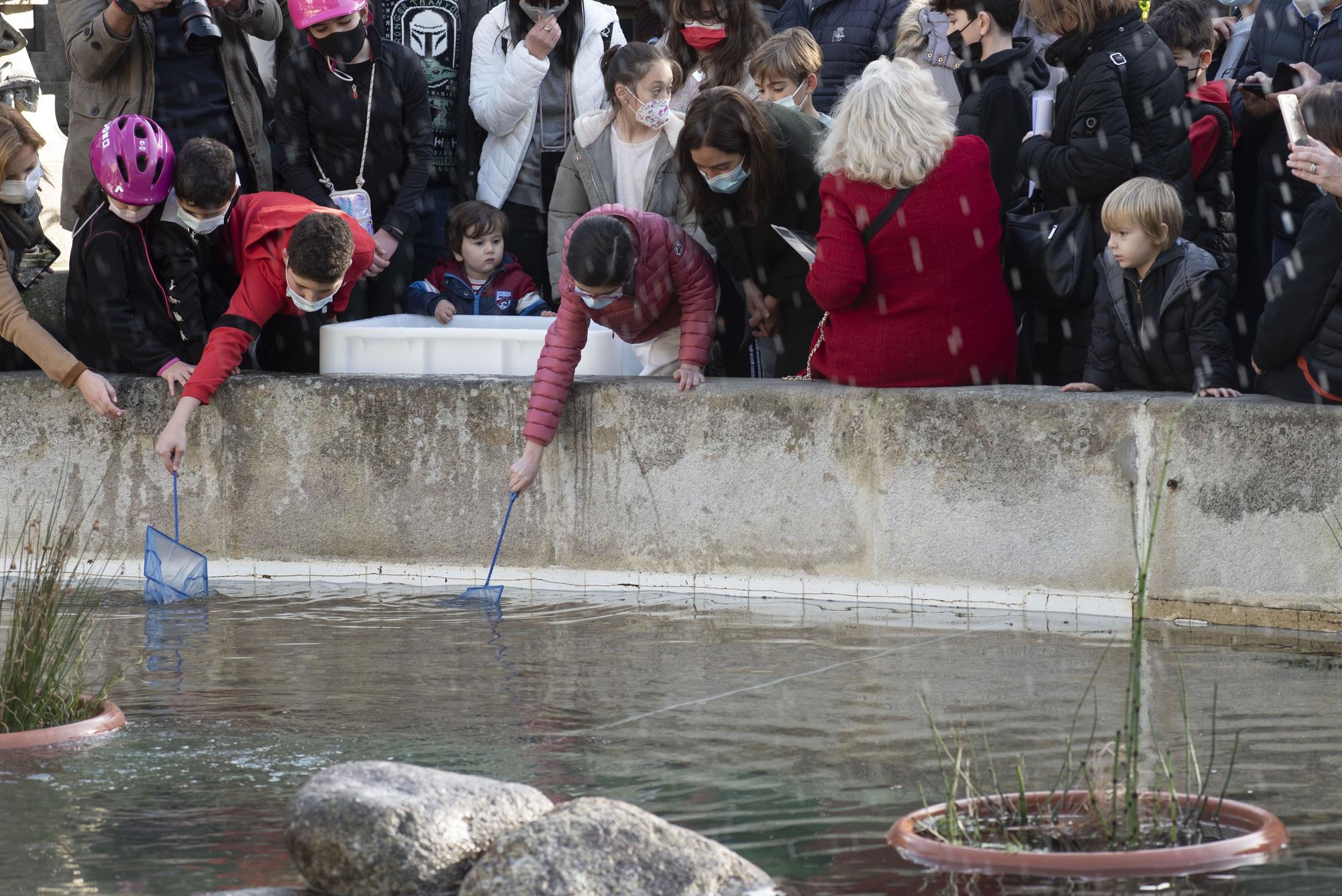 Los peces vuelven a nadar en el estanque de Méndez Núñez