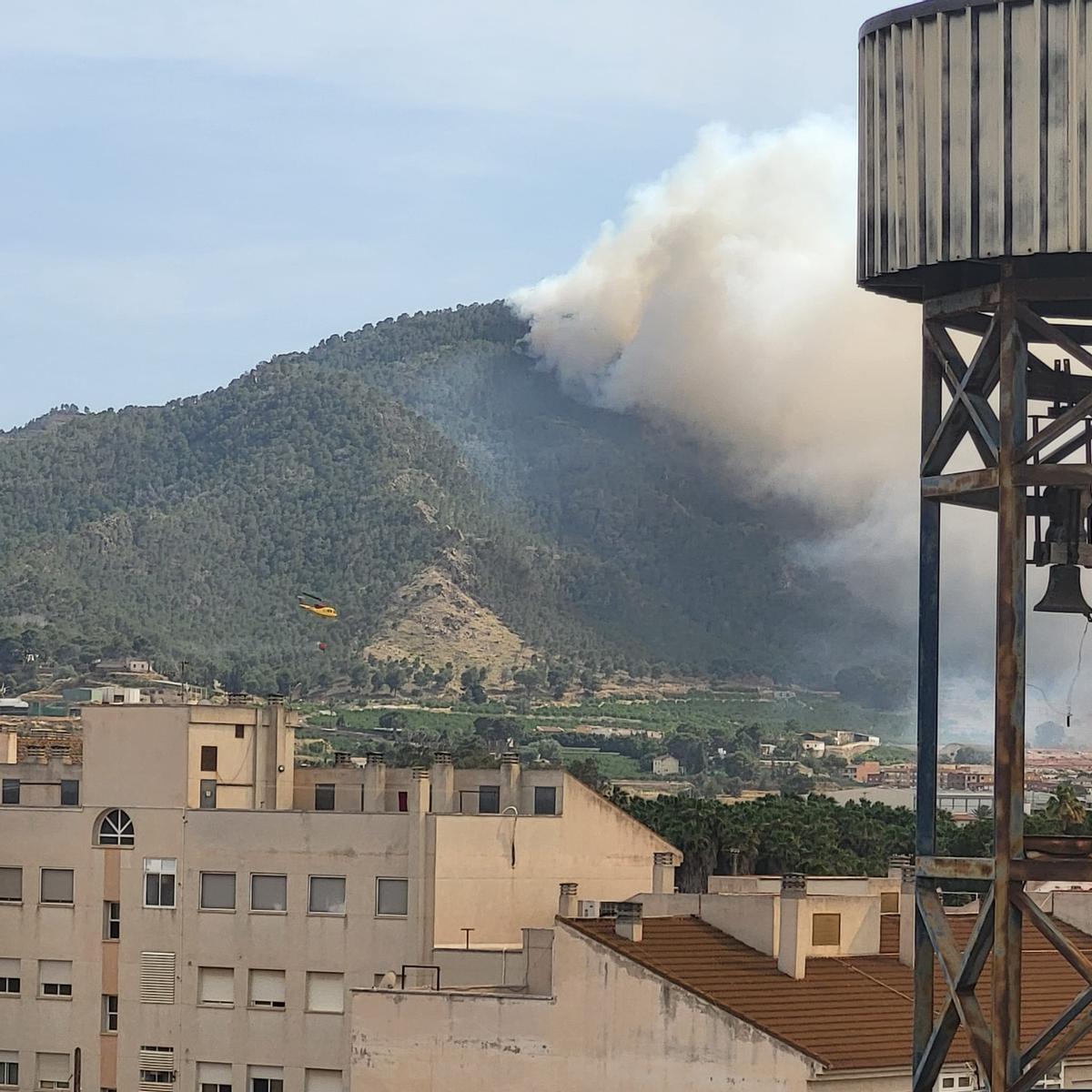 Las imágenes del grave incendio forestal en Los Garres (Murcia)