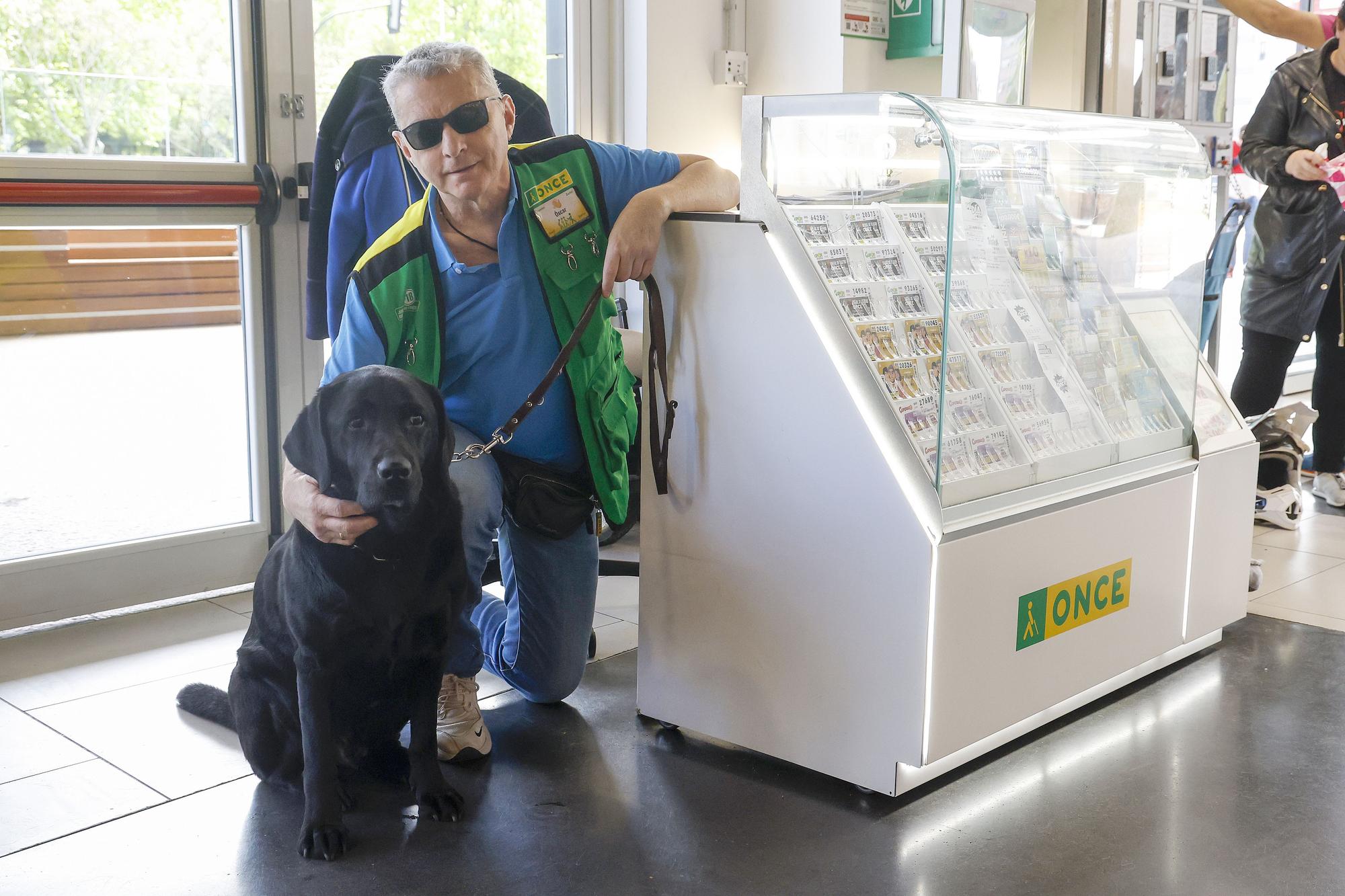 El oficio del perro Topi: guiar a su dueño invidente