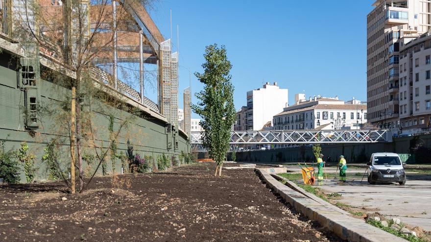 El último tramo del Guadalmedina se completará con praderas de biodiversidad