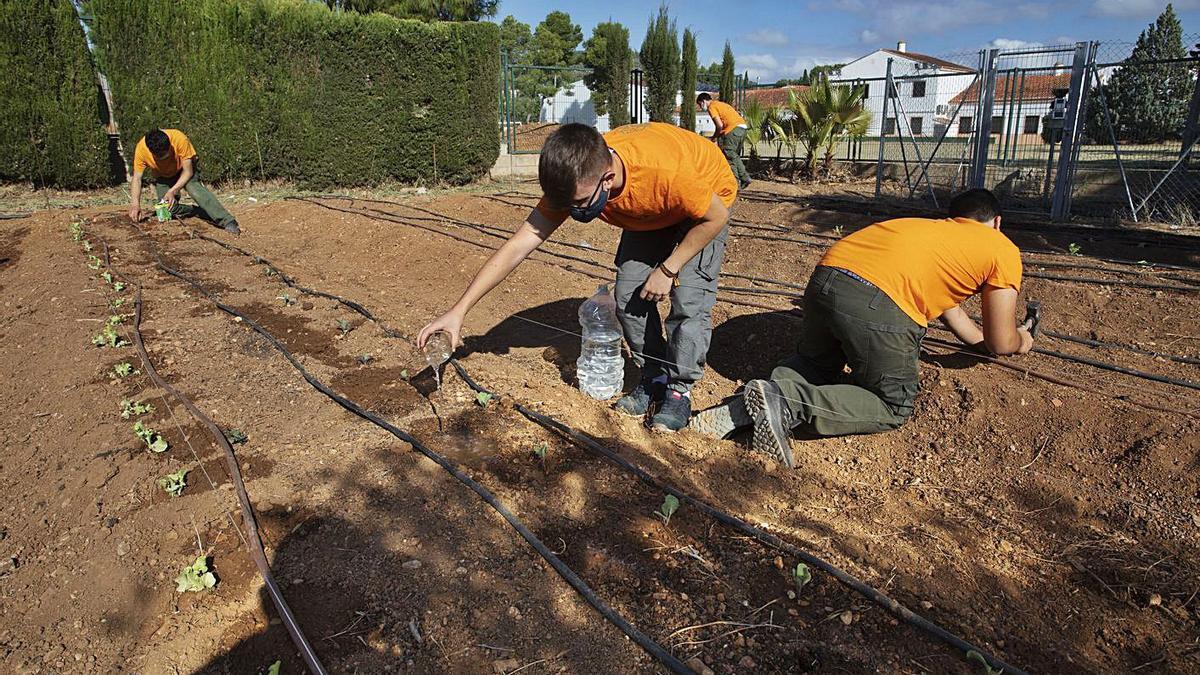 Un grup d’estudiants d’un cicle formatiu treballa el camp durant una classe. | DANIEL TORTAJADA