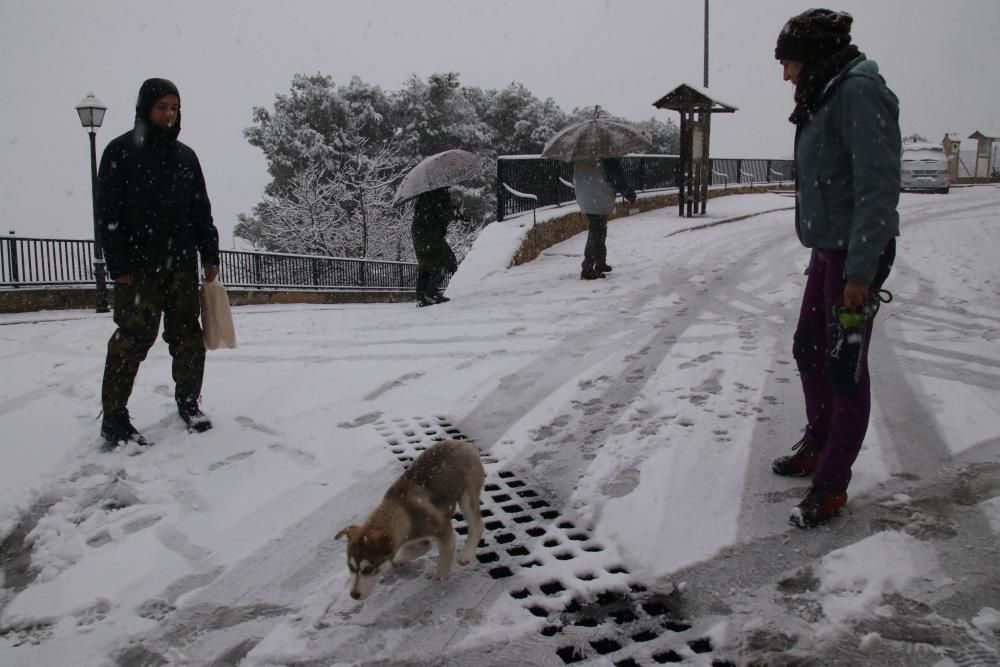 Nevada en Alcoià y Comtat