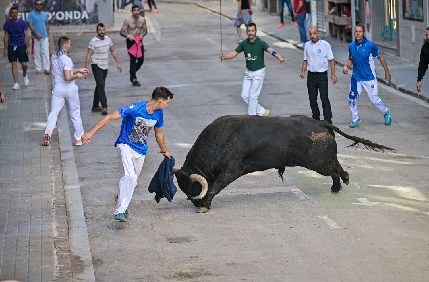 Las mejores imágenes del encierro de  Couto de Fornilhos y Santa Teresa en Onda