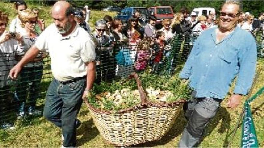 Dos boletaires porten la gran cistella que va guanyar el concurs boletaire de Puigventós el 2013