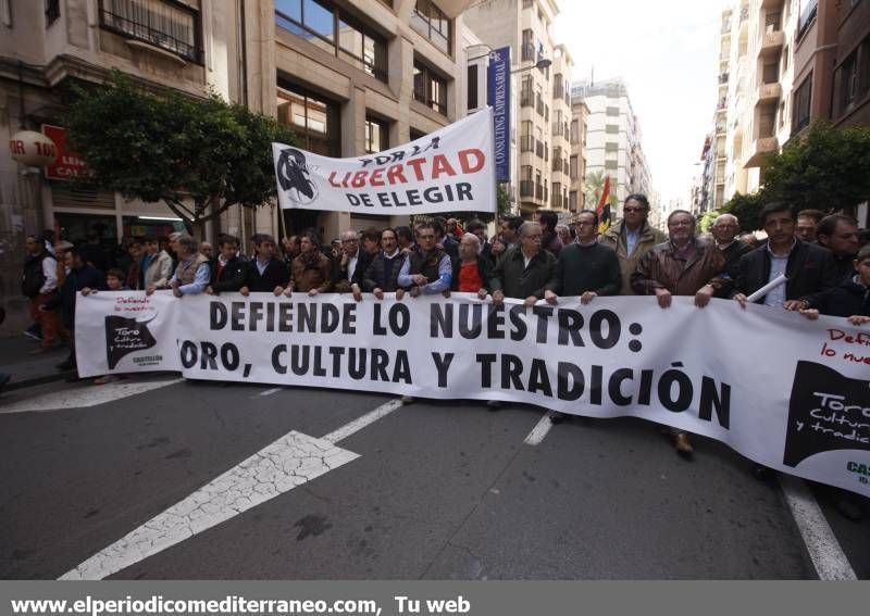 GALERÍA DE FOTOS -- Seguimiento de la manifestación protaurina -- Parte 2