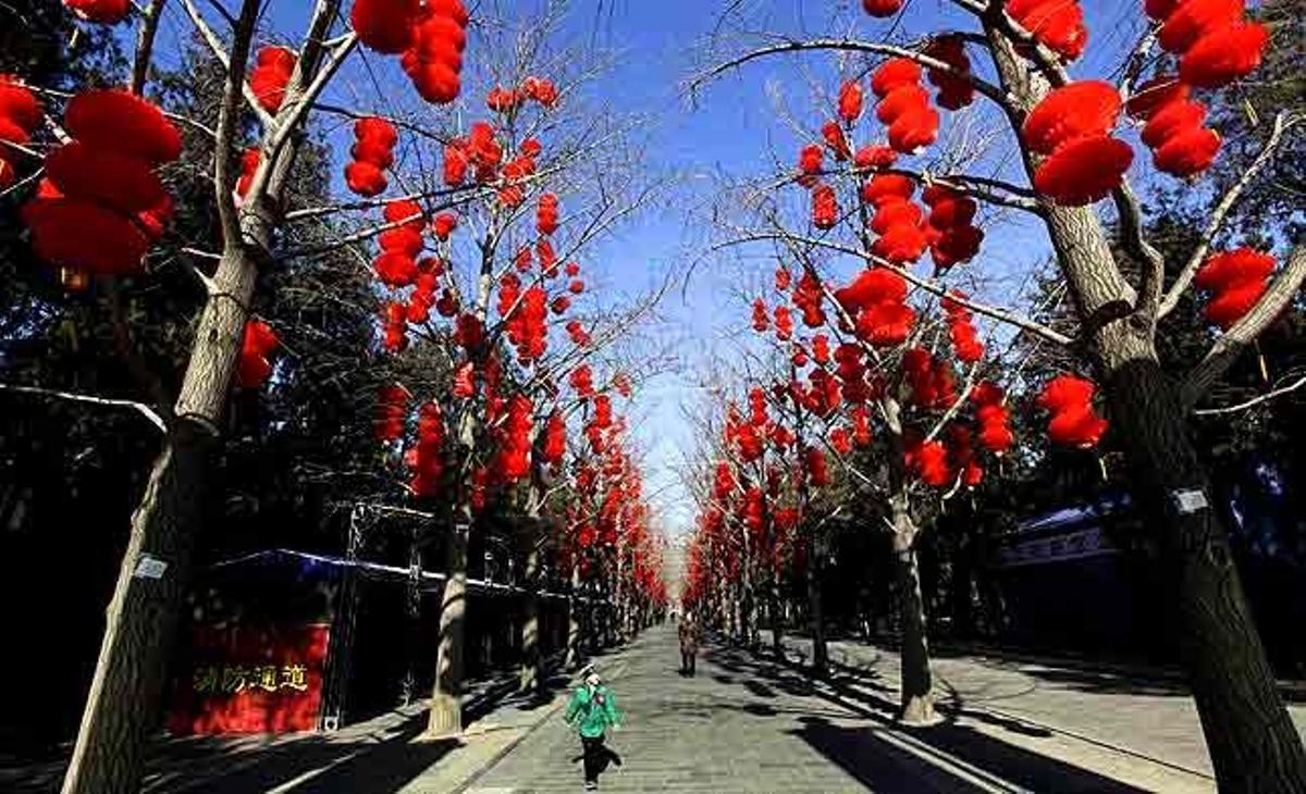 Una noia camina al llarg d’un carrer on els arbres estan decorats amb llums vermelles per motiu de les celebracions de l’Any Nou Lunar, al Parc Ditan de Beijing (Xina).