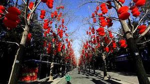Una noia camina al llarg d’un carrer on els arbres estan decorats amb llums vermelles per motiu de les celebracions de l’Any Nou Lunar, al Parc Ditan de Beijing (Xina).