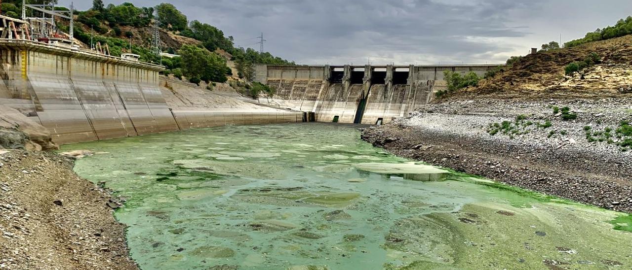 Estado de la cola del embalse de Alcántara en el extremo que alcanza la zona de Monfragüe, el pasado verano.