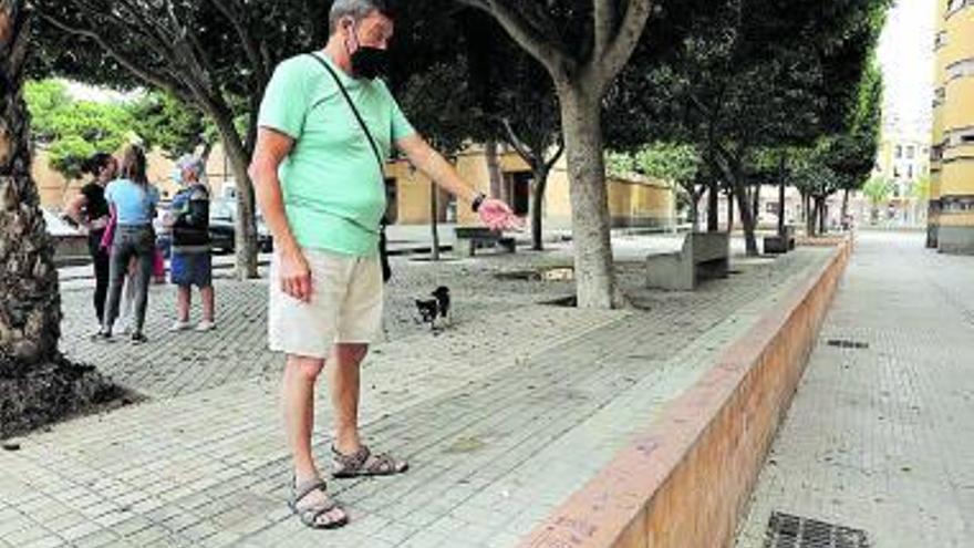 Un vecino señala un muro por el que se han caído varios niños. 