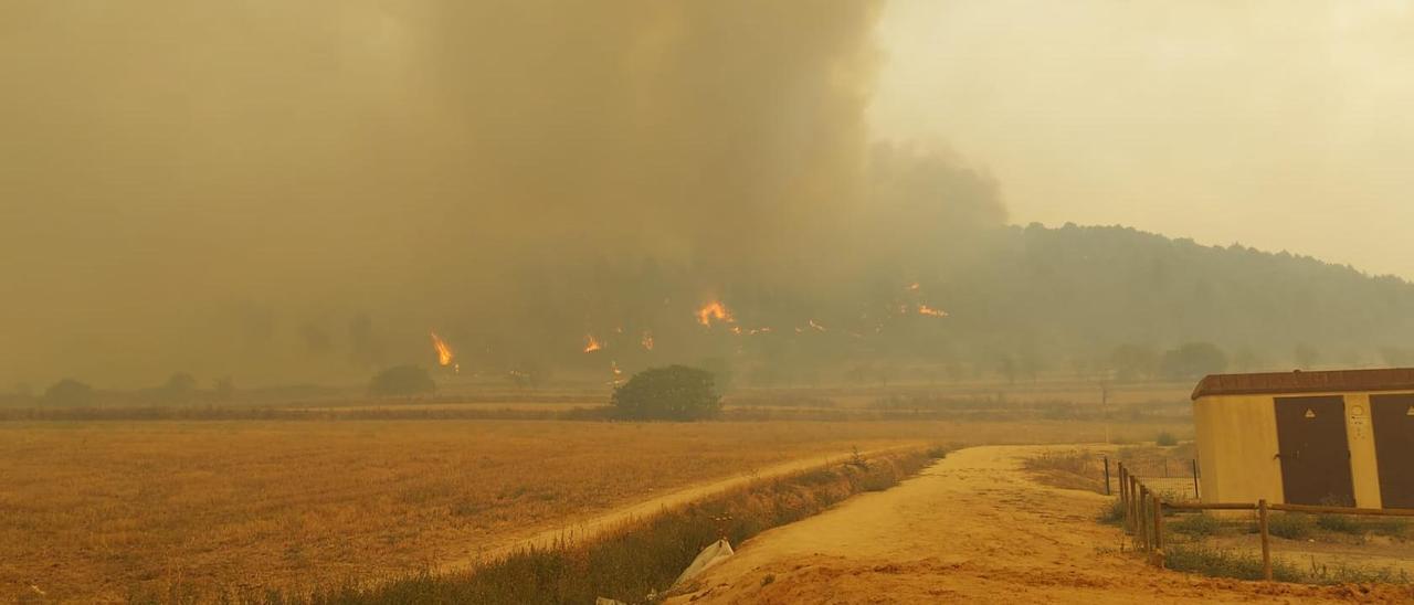 Les flames arriben a tocar del nucli urbà de Sant Fruitós