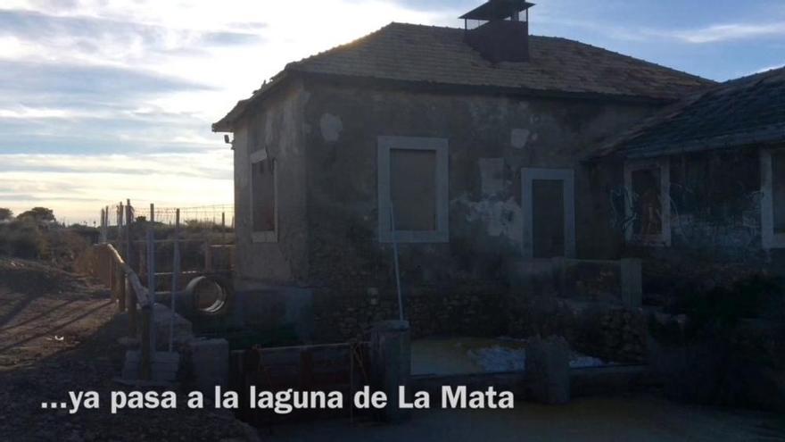 Sueña Torrevieja advierte del impacto de la salmuera en la laguna de La Mata