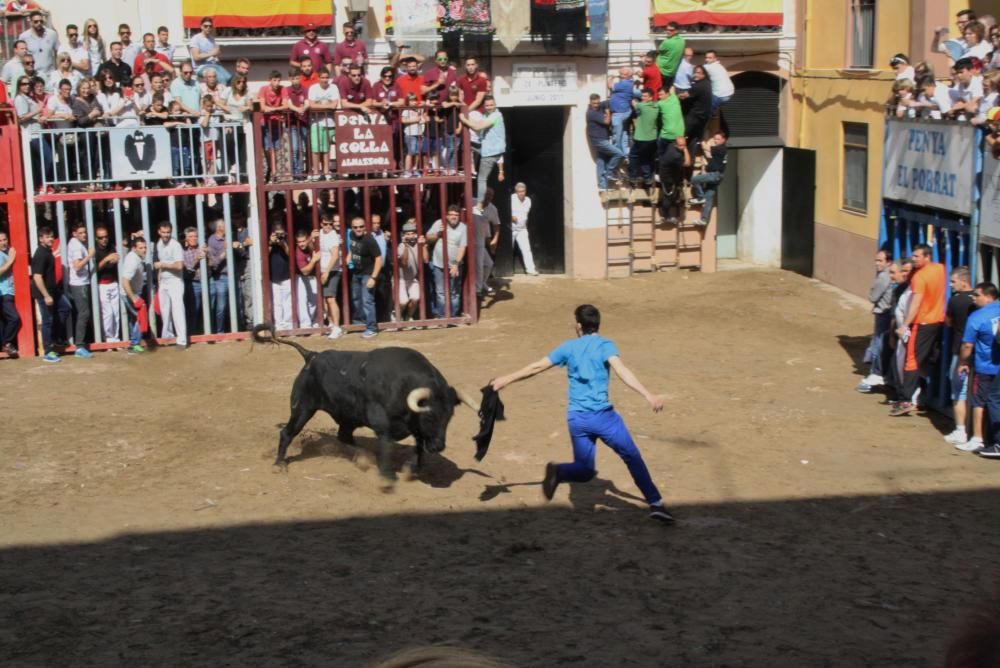 Festes de Santa Quitèria en Almassora