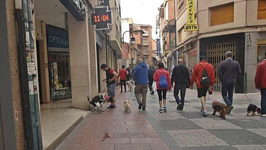 Un dueño responsable esperando a recoger los excrementos de su perro en la calle Herreros. A. G.