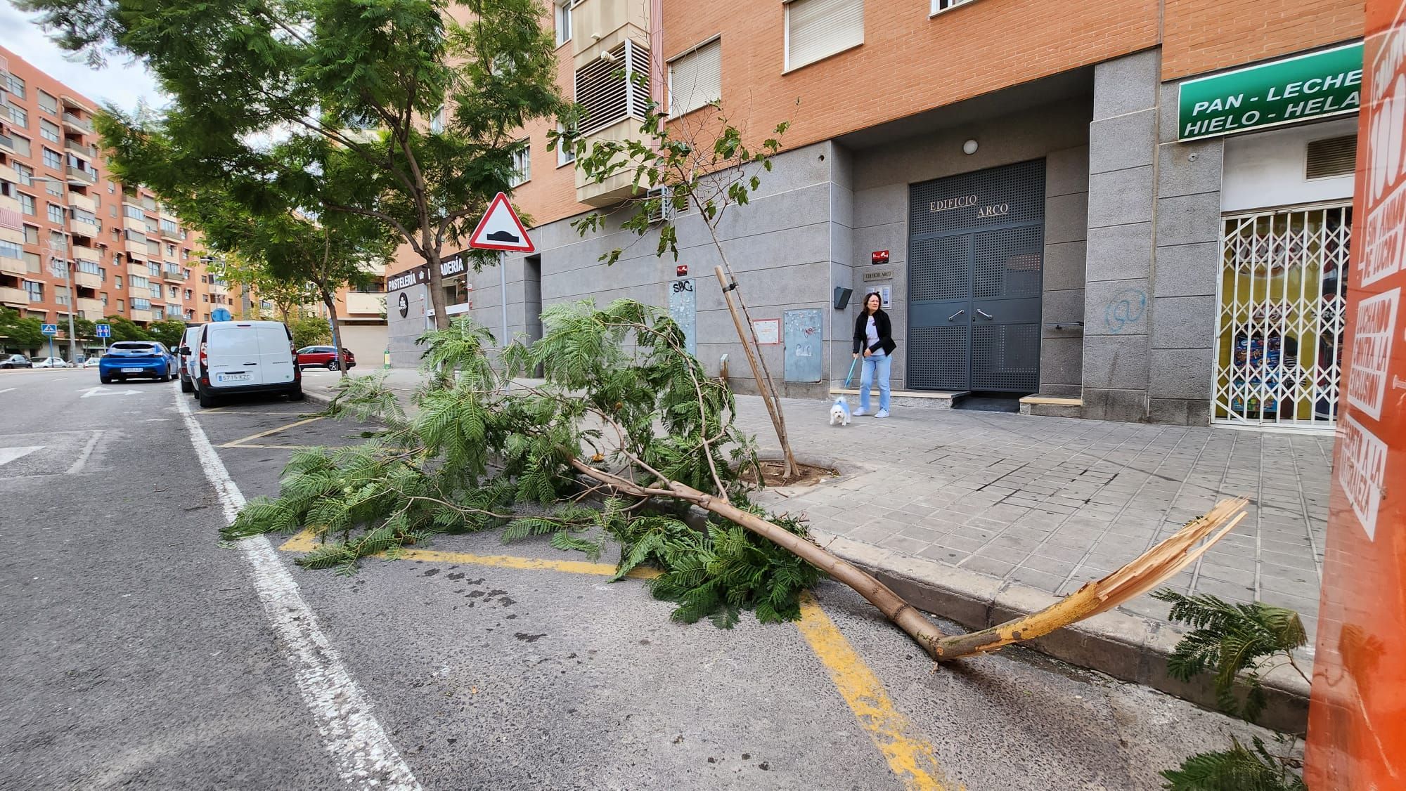 Daños por el temporal de viento en Alicante
