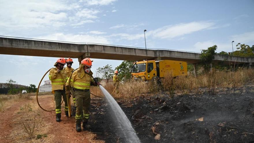 Vídeo | Un incendio en Cáceres arrasa en apenas media hora una gran parcela entre Aldea Moret y La Cañada