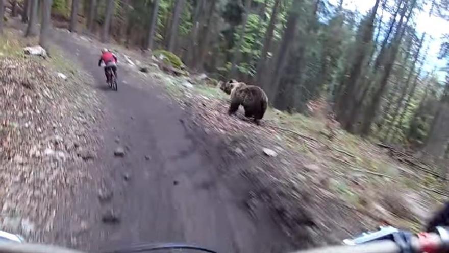 El ataque de un oso a un ciclista que han visto 7 millones de personas por youtube