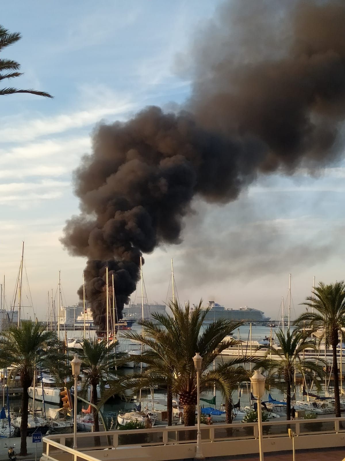 Arde un catamarán en el puerto de Palma