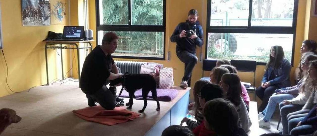 Los pequeños disfrutaron con tres perros que los voluntarios trasladaron al colegio. // G.N.