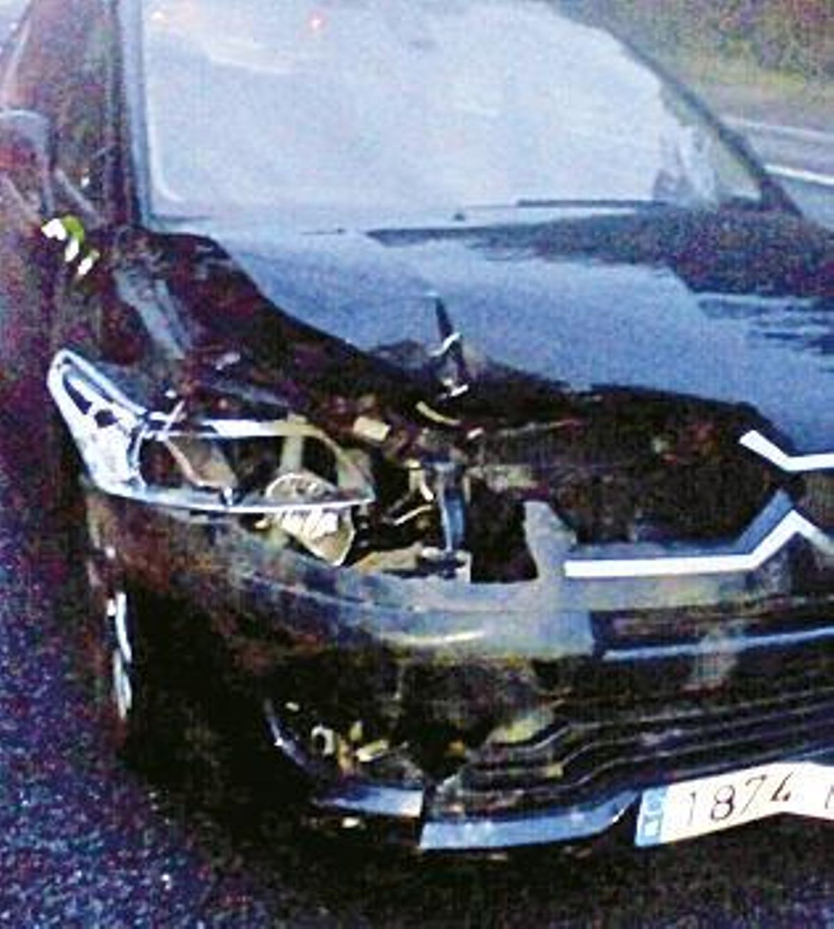 Un herido y 3 coches destrozados, tras entrar 2 jabalíes en el corredor de O Morrazo