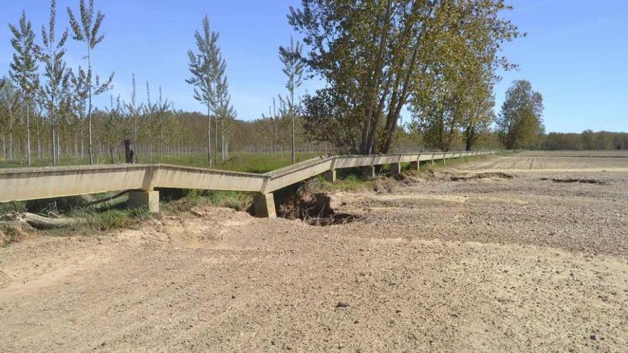 Villaveza del Agua reclama los daños en fincas