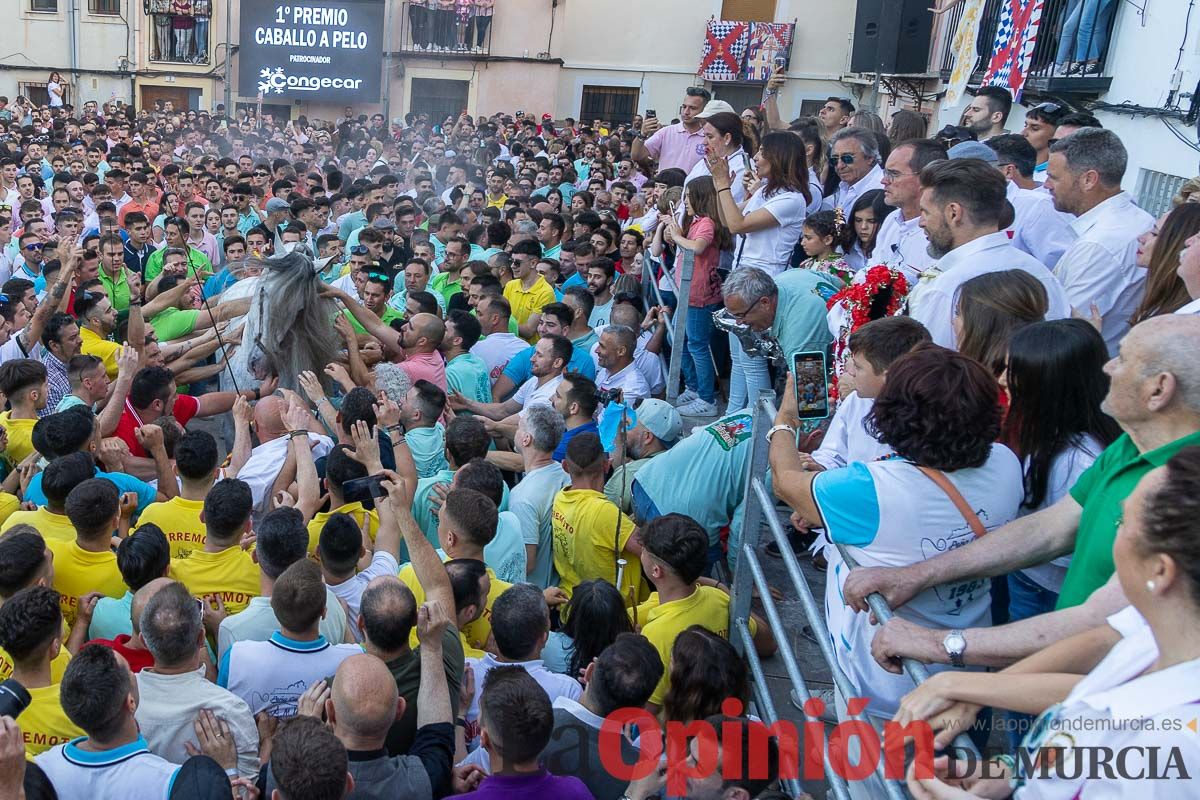 Entrega de premios del concurso morfológico de los Caballos del Vino de Caravaca