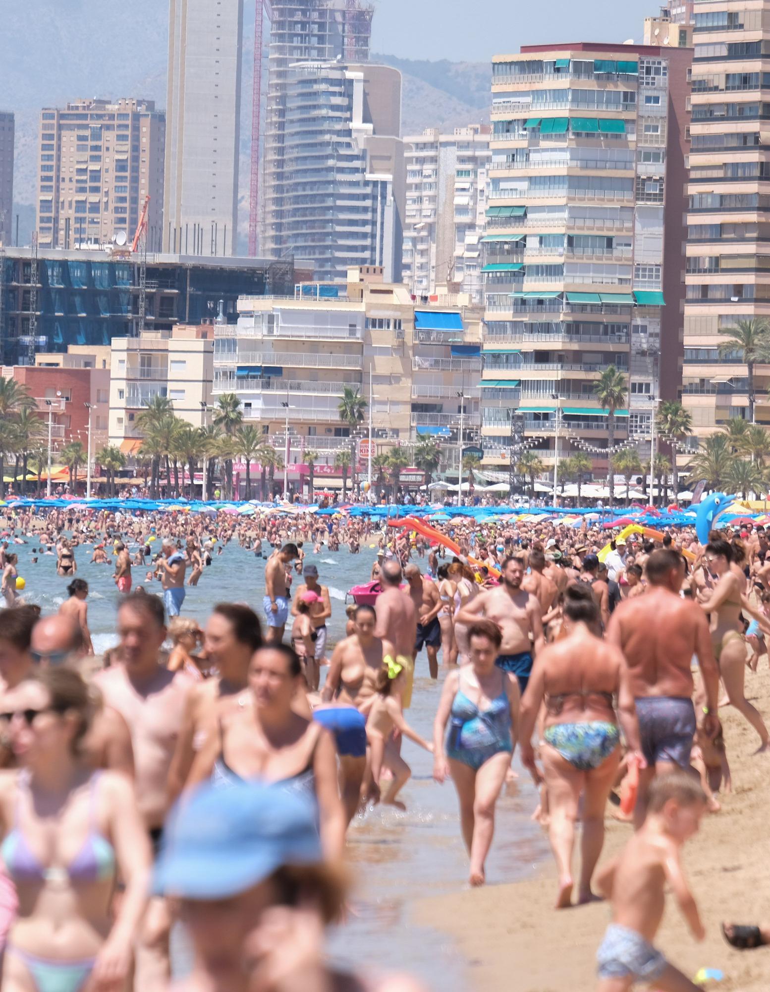 Benidorm prevé colgar el cartel de completo este agosto