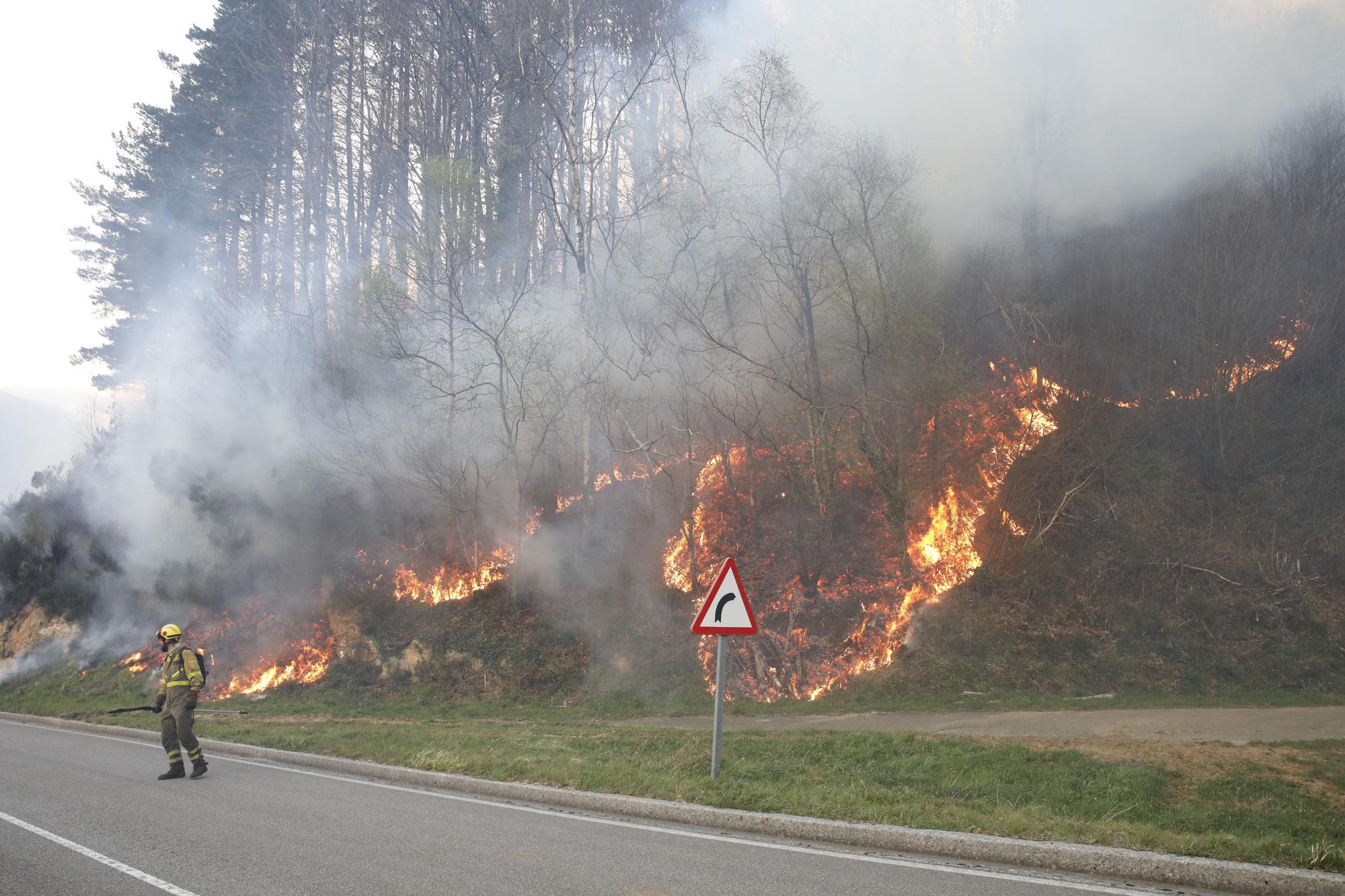 EN IMÁGENES: bomberos, vecinos y la UME luchan contra el preocupante incendio en Tineo