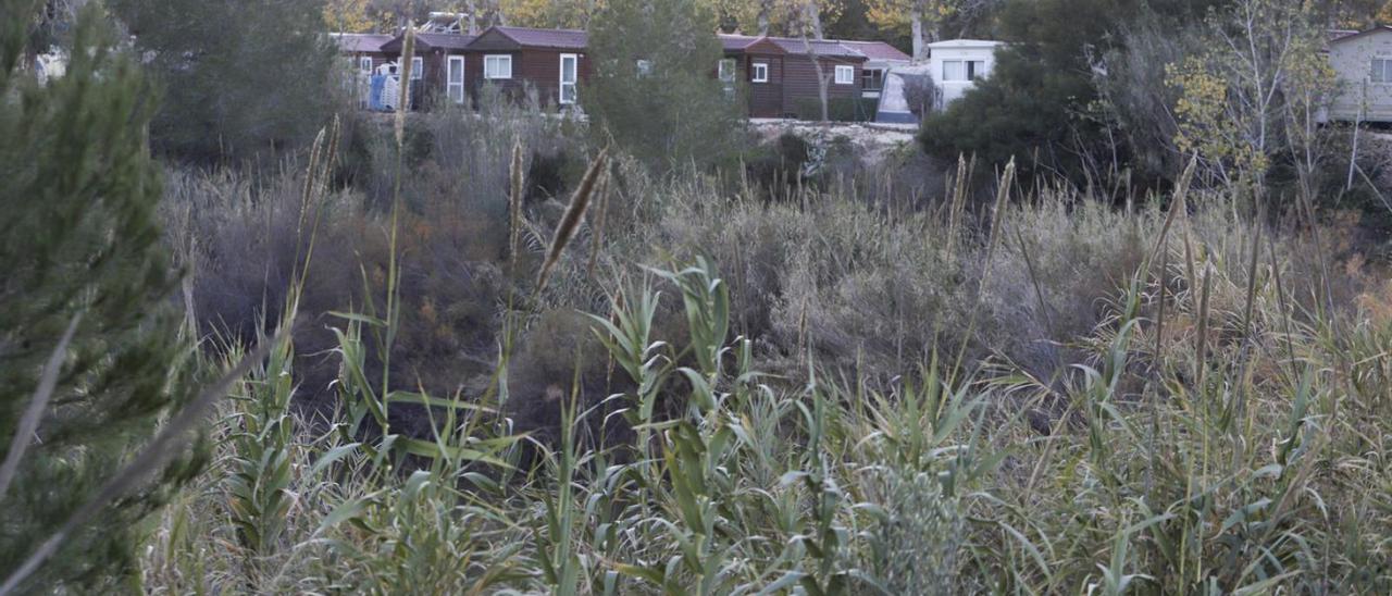 El camping, en una imagen de 2018, rodeado de barrancos y junto a una laguna. | PERALES IBORRA