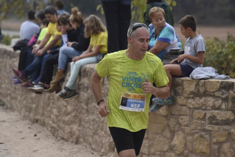 Vinya Trail a l'Oller del Mas.