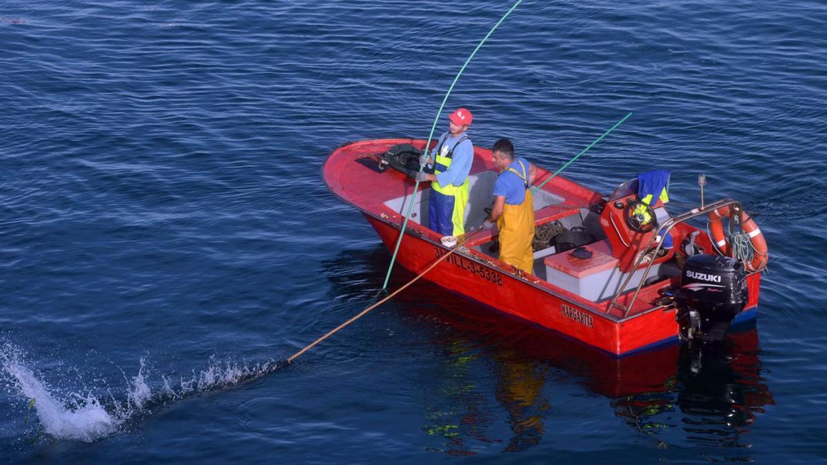 Dos rañeiros en la anterior campaña de libre marisqueo, en A Illa de Arousa.